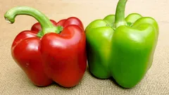 Röd eller grön: vilken paprikasort är nyttigare och hur skiljer sig deras näringsvärden åt?