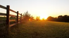 Historien om varför en mamma och hennes dotter tackade nej till ett bud på 26 miljoner dollar för sin mark