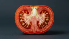 Vit och hård kärna i tomater: varför uppstår den och går det att odla den perfekta frukten utan den?