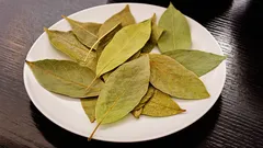 Rätten blir oåterkalleligt förstörd: vilka soppor och tillbehör du inte ska lägga lagerblad i